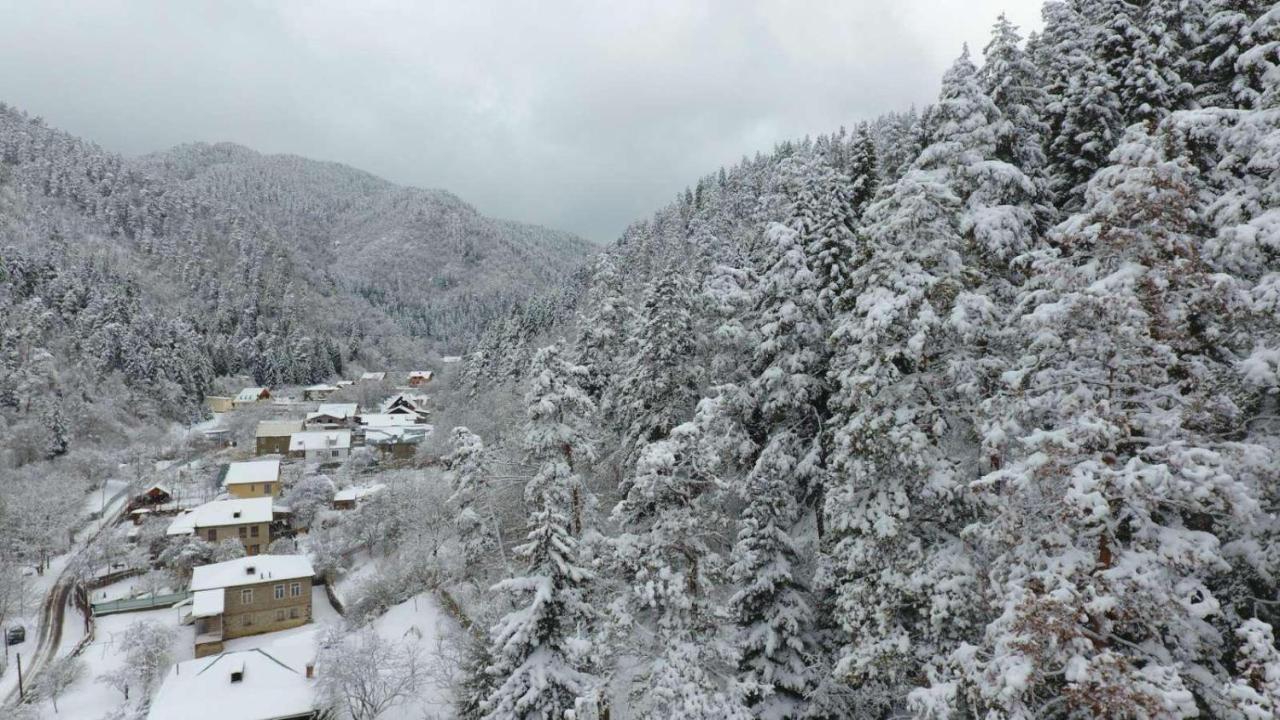Serenity Likani Villa Hotel 보르조미 외부 사진