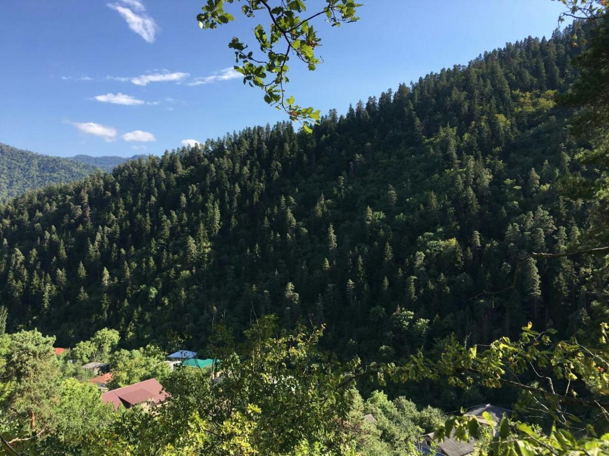 Serenity Likani Villa Hotel 보르조미 외부 사진