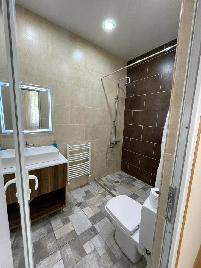 Serenity Likani Villa Hotel 보르조미 외부 사진