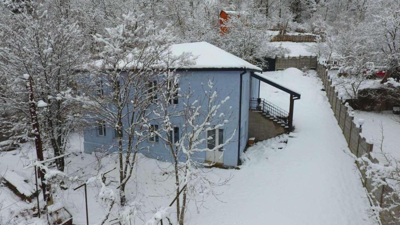 Serenity Likani Villa Hotel 보르조미 외부 사진