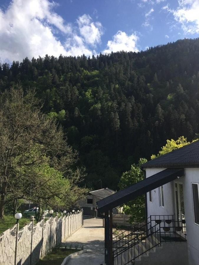 Serenity Likani Villa Hotel 보르조미 외부 사진