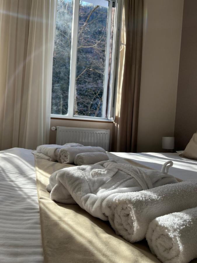 Serenity Likani Villa Hotel 보르조미 외부 사진