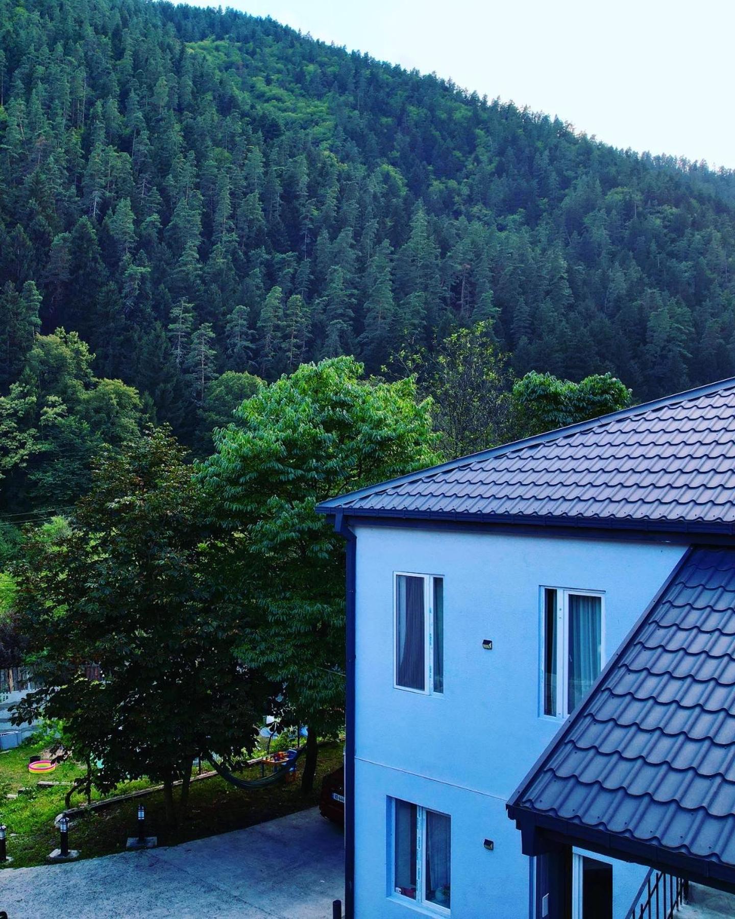 Serenity Likani Villa Hotel 보르조미 외부 사진